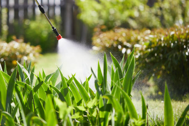 24/7 Emergency Mosquito Control experts in University City, MO