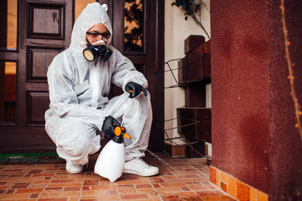 Reliable Mosquito Control contractor in University City, MO by Show Me Pest Control