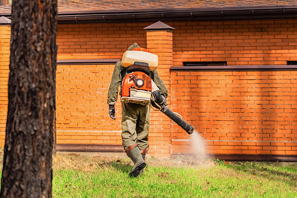 Top rated local Mosquito Control specialists in University City, MO